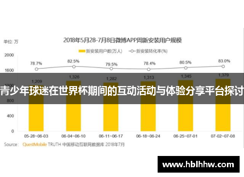 青少年球迷在世界杯期间的互动活动与体验分享平台探讨