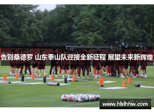 告别桑德罗 山东泰山队迎接全新征程 展望未来新辉煌 告别桑德罗 山东泰山队迎接全新征程 展望未来新辉煌